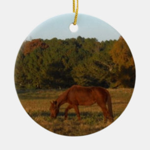 Brown horse in  the Sun Ceramic Ornament