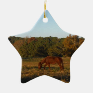 Brown horse in  the Sun Ceramic Ornament