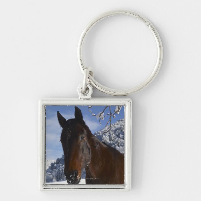 Brown horse in winter key ring (Front)