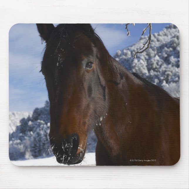 Brown horse in winter mouse pad (Front)