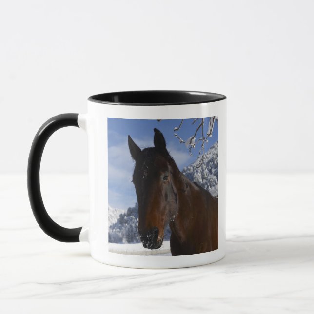 Brown horse in winter mug (Left)