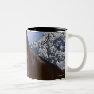Brown horse in winter Two-Tone coffee mug