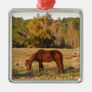 Brown horse in  yellow tree field metal ornament