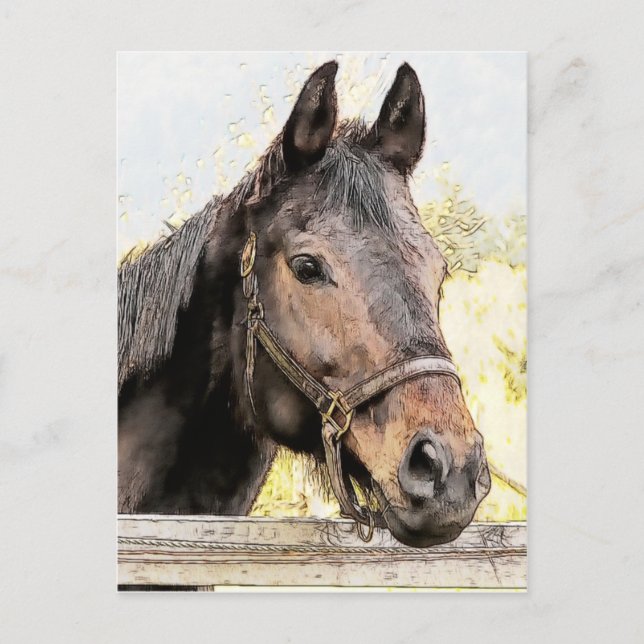 Brown Horse Postcard (Front)