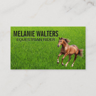 Brown Horse Running  Business Card