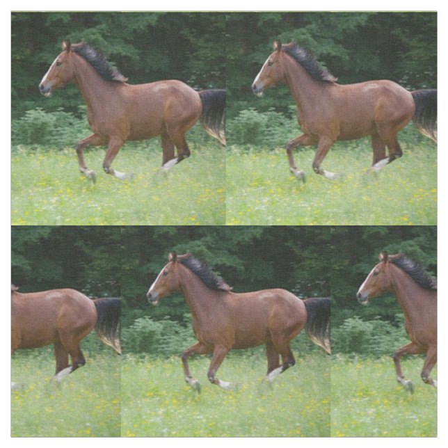 Brown Horse Running Through Field Fabric (Swatch)