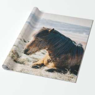 BROWN HORSE SITTING ON GRASS NEAR BEACH WRAPPING PAPER
