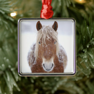 Brown Horse Standing in Snowy Field Close Up. Metal Ornament