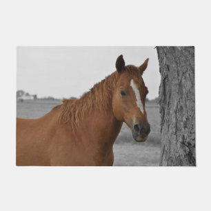 Brown Horse w/Black and White Background Doormat