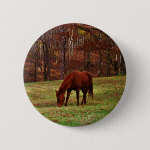 Brown Horse w/ White Nose at Woods Edge 6 Cm Round Badge