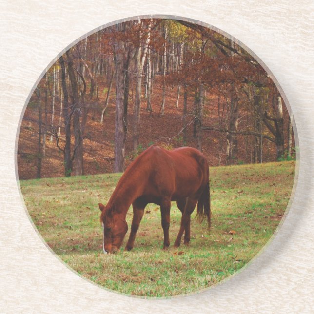 Brown Horse w/ White Nose at Woods Edge Coaster (Front)