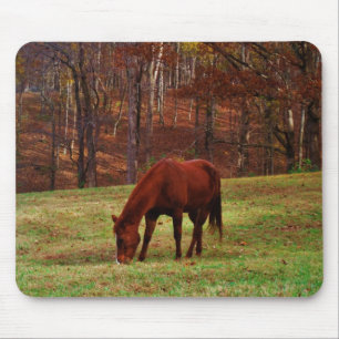 Brown Horse w/ White Nose at Woods Edge Mouse Pad