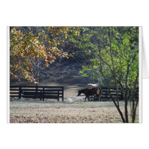 Brown Horse walking through Fence