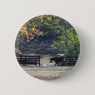Brown Horse walking through Fence 6 Cm Round Badge