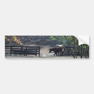 Brown Horse walking through Fence Bumper Sticker