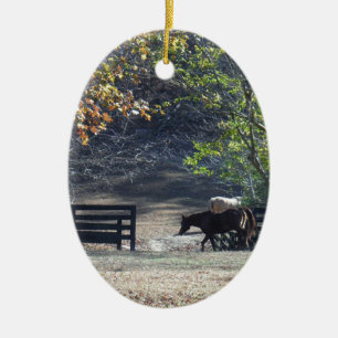 Brown Horse walking through Fence Ceramic Ornament