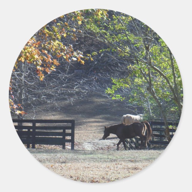 Brown Horse walking through Fence Classic Round Sticker (Front)
