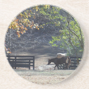 Brown Horse walking through Fence Coaster