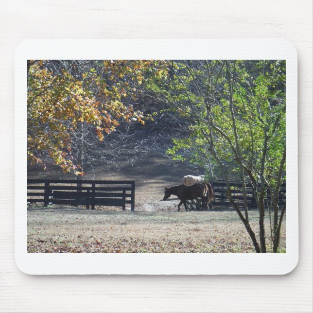 Brown Horse walking through Fence Mouse Pad (Front)