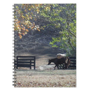 Brown Horse walking through Fence Notebook