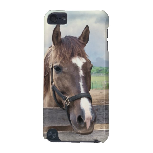 Brown Horse with Bridle Customisable iPod Touch 5G Case (Back)