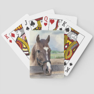Brown Horse with Bridle Deck of Playing Cards