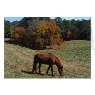 Brown horse with fall trees