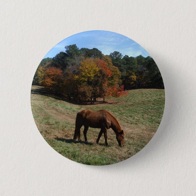 Brown horse with fall trees 6 cm round badge (Front)