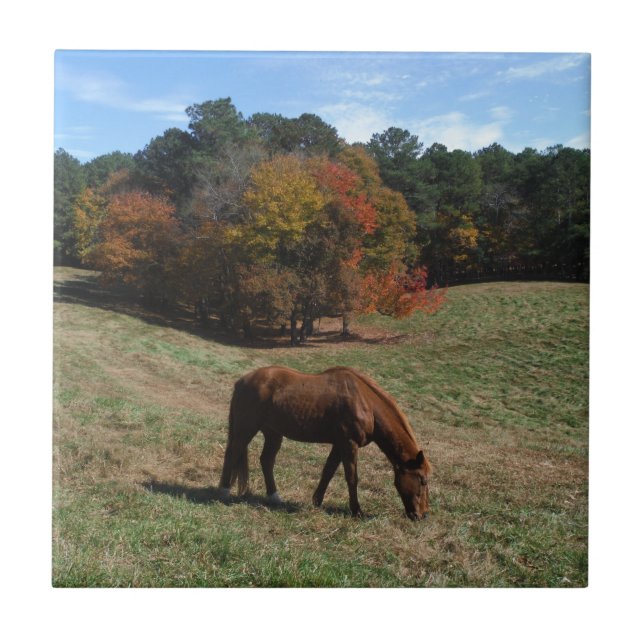 Brown horse with fall trees ceramic tile (Front)
