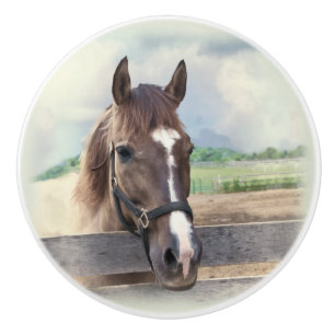 Brown Horse with Halter Ceramic Knob