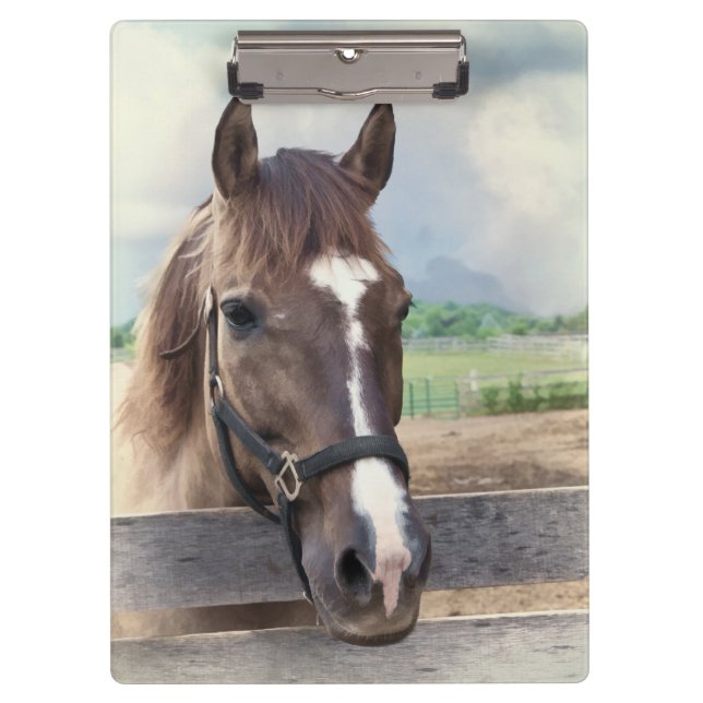 Brown Horse with Halter Clipboard (Front)