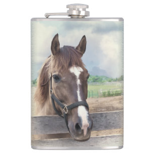Brown Horse with Halter Hip Flask