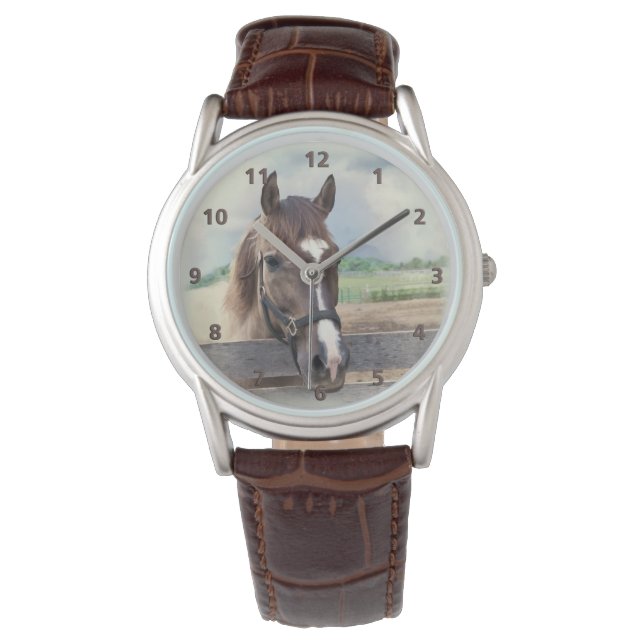 Brown Horse with Halter Watch (Front)
