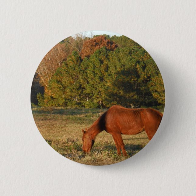 Brown Horse with Pine Trees 6 Cm Round Badge (Front)
