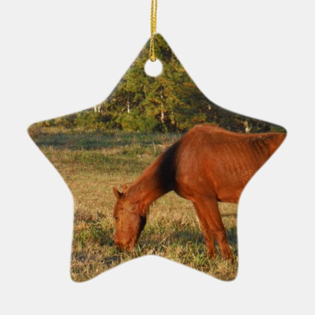 Brown Horse with Pine Trees Ceramic Tree Decoration (Front)