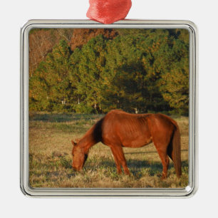 Brown Horse with Pine Trees Metal Ornament