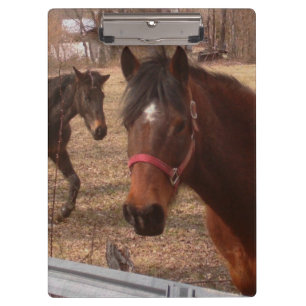 Brown Horses Clipboard