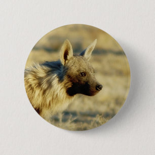 Brown hyena wildlife badges buttons