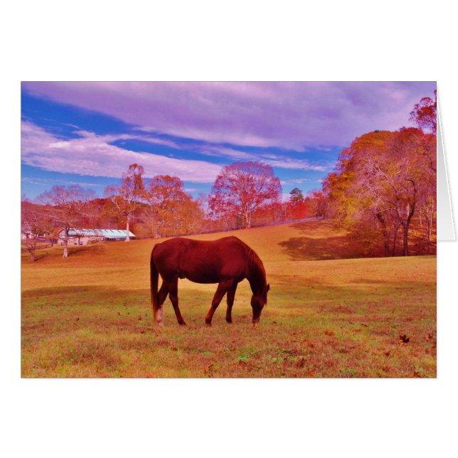 > Brown in a dreamy coloured field (Front Horizontal)