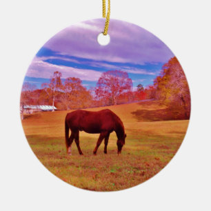 > Brown in a dreamy coloured field Ceramic Ornament