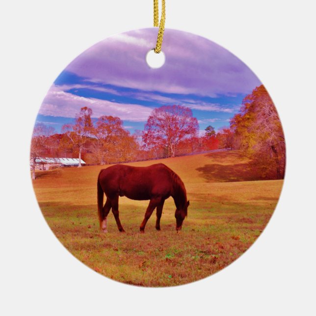 > Brown in a dreamy coloured field Ceramic Ornament (Front)