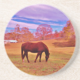 > Brown in a dreamy coloured field Coaster