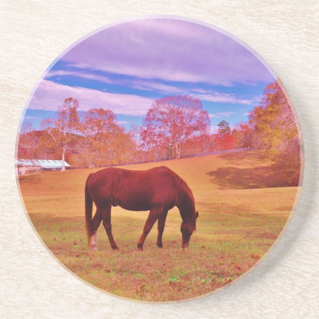 > Brown in a dreamy coloured field Coaster (Front)