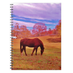 > Brown in a dreamy coloured field Notebook