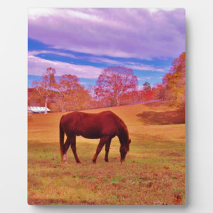 > Brown in a dreamy coloured field Plaque