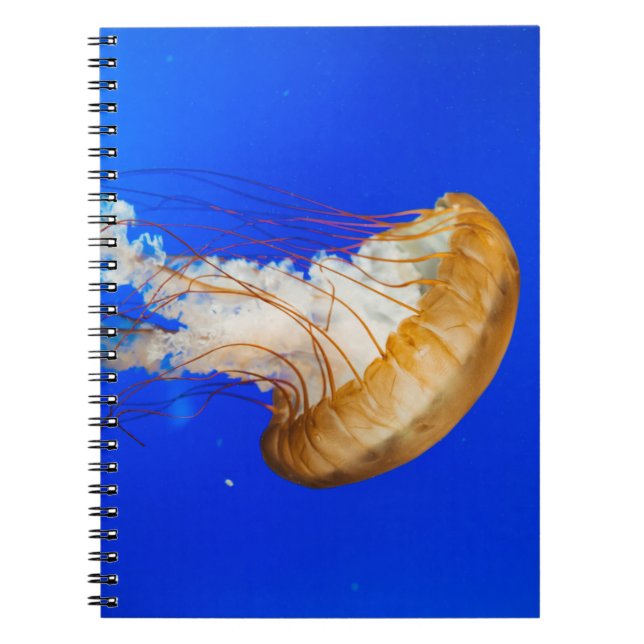 BROWN JELLYFISH NOTEBOOK (Front)