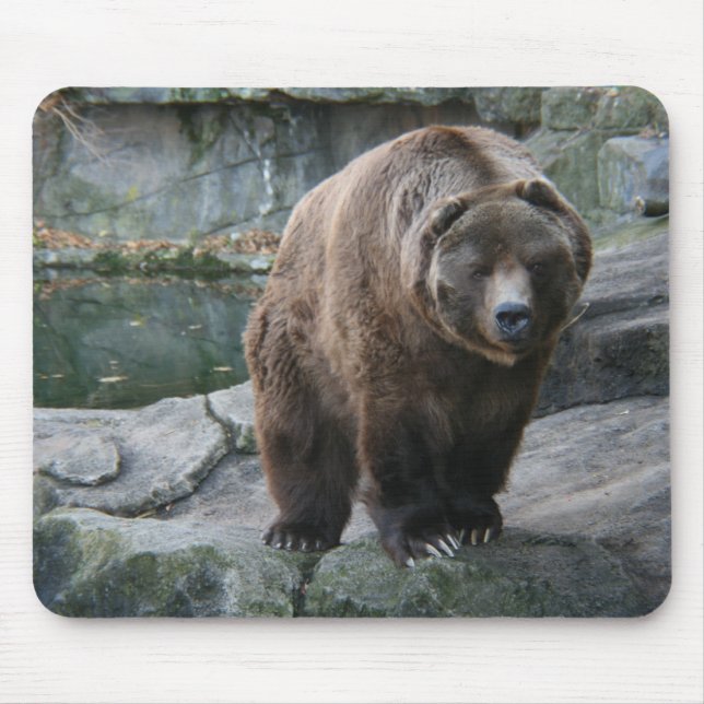Brown Kodiak Bear Mouse Pad (Front)