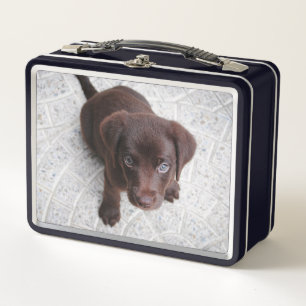 Brown Lab Puppy Metal Lunch Box