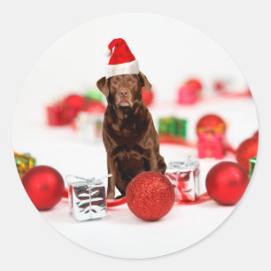 Brown Labrador Dog Christmas w Gifts Santa Hat Classic Round Sticker