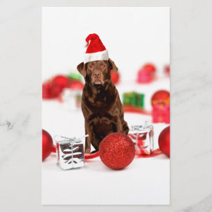 Brown Labrador Dog Christmas w Gifts Santa Hat Stationery